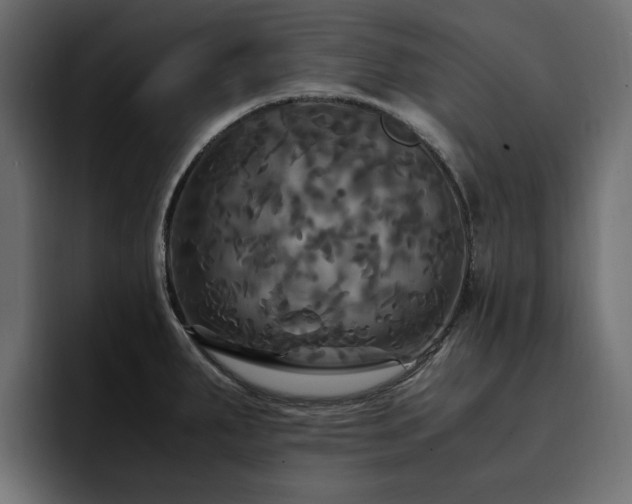 X0000095121287200712141128