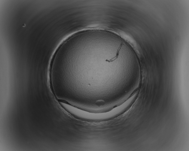 X0000095121288200712141128