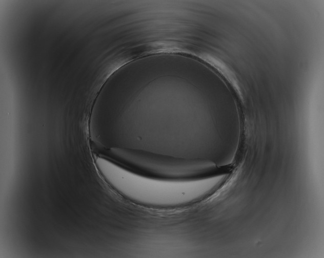 X0000095121289200712141128