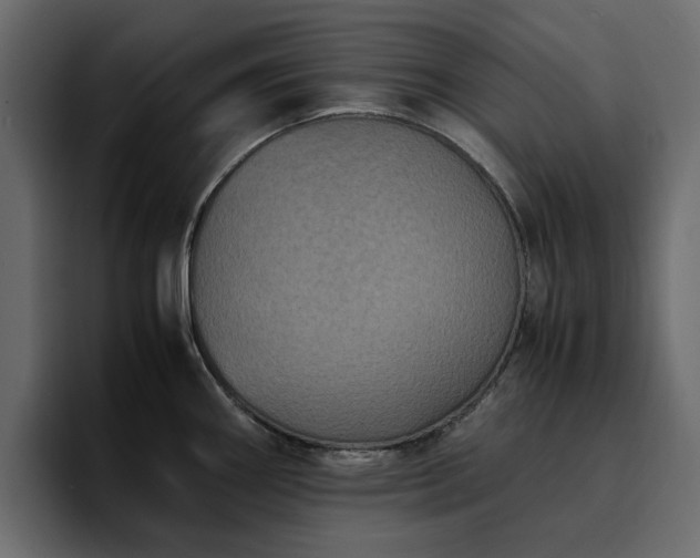 X0000095121290200712141128