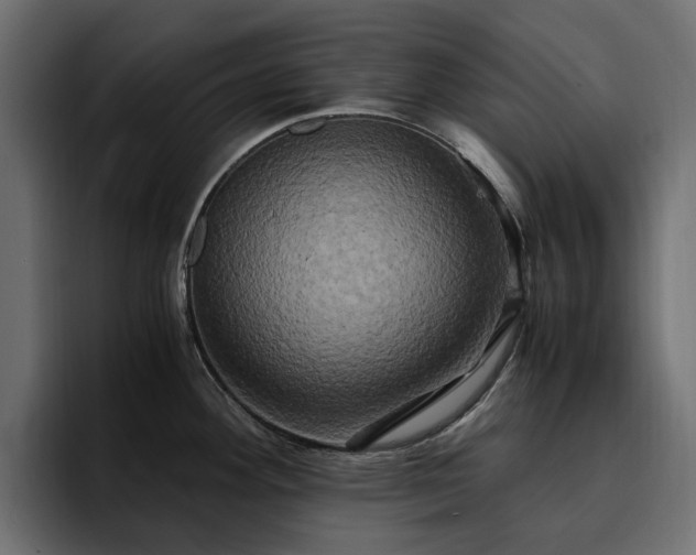 X0000095121292200712141128