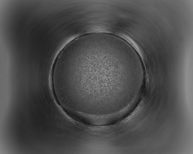 X0000095121293200712141128