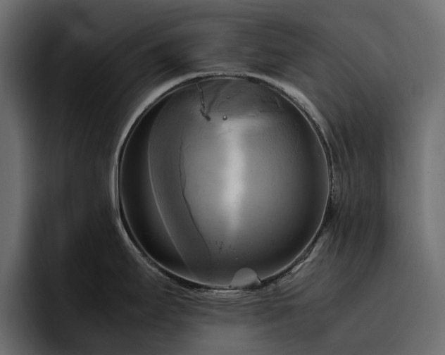 X0000095121295200712141128