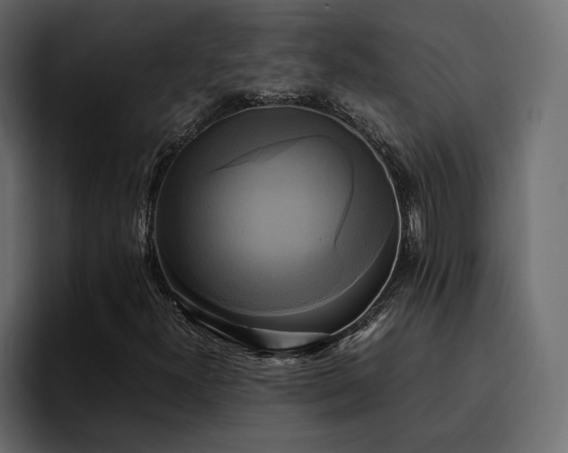 X0000095121300200712141128