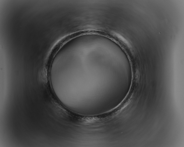 X0000095121310200712141128