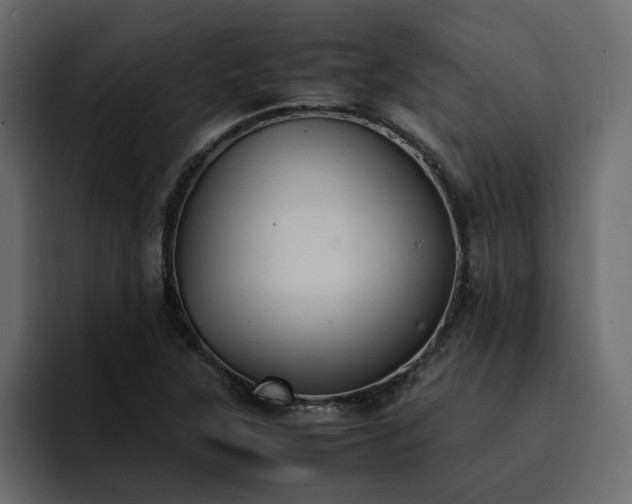 X0000095121315200712141128