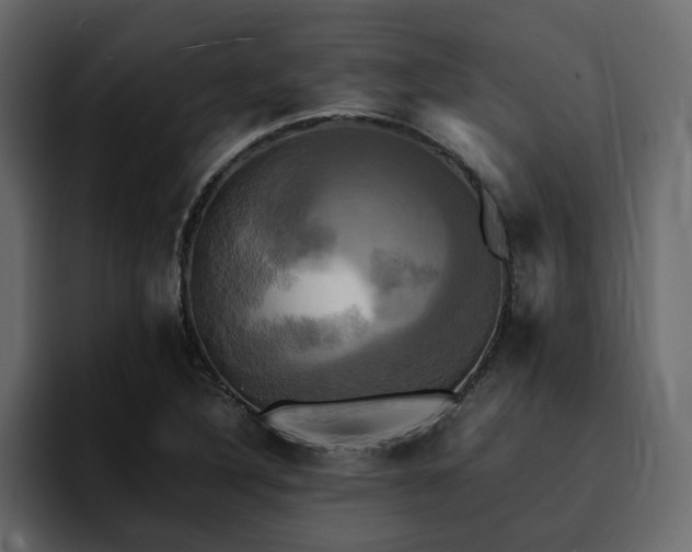 X0000095121316200712141128