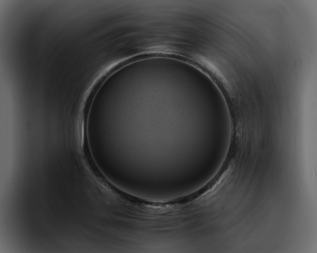 X0000095121323200712141128