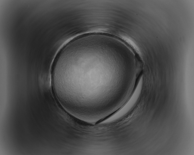 X0000095121324200712141128