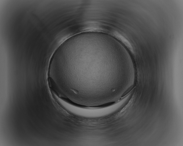 X0000095121330200712141128