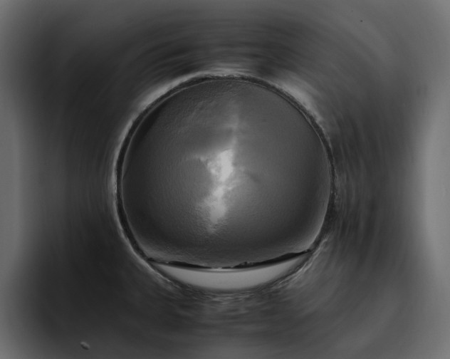 X0000095121335200712141128