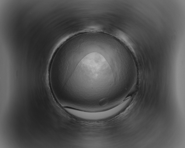 X0000095121336200712141128