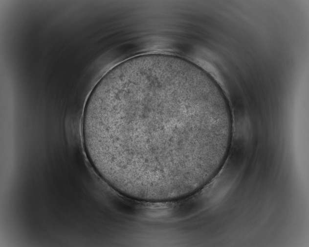 X0000095121338200712141128