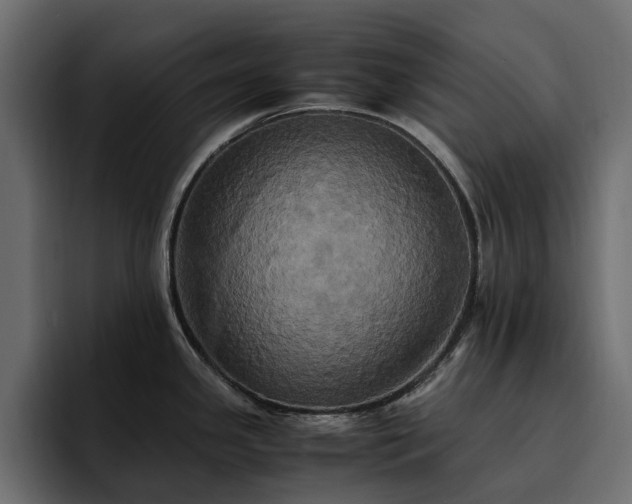 X0000095121341200712141128