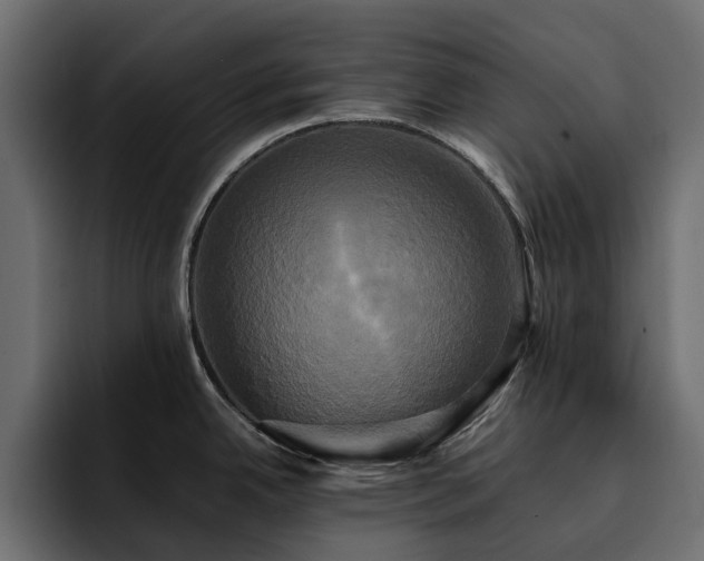 X0000095121342200712141128