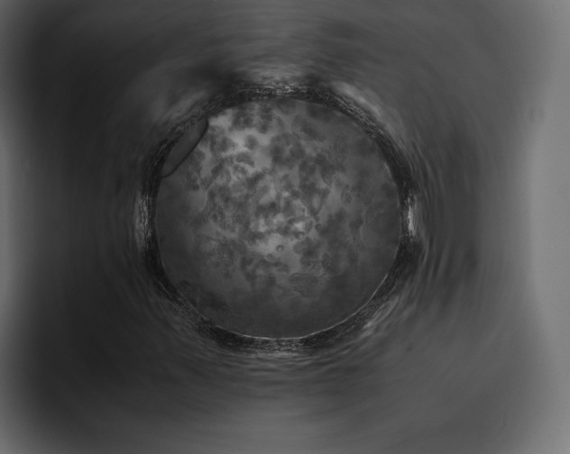 X0000095121347200712141128