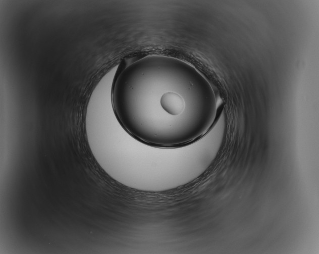 X0000095121348200712141128