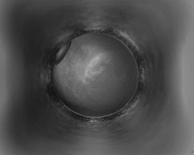 X0000095121350200712141127