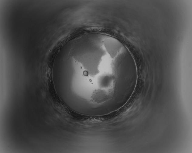 X0000095121351200712141127