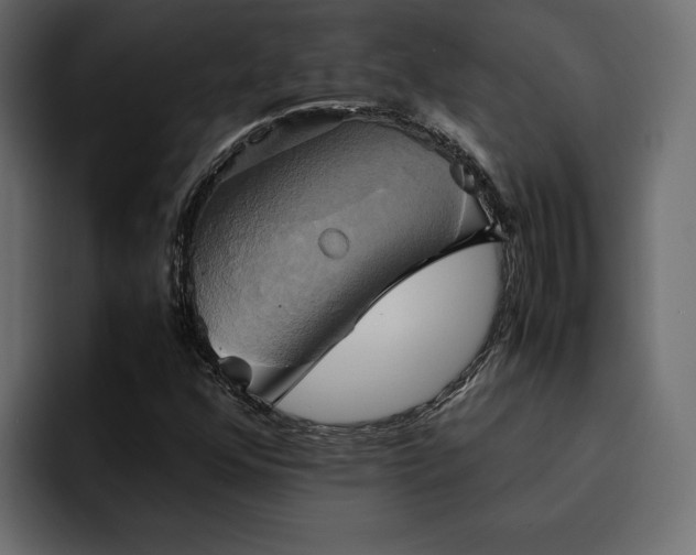 X0000095121352200712141127