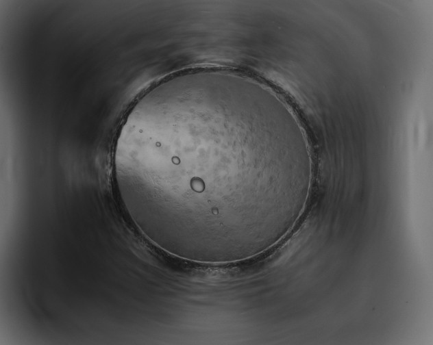 X0000095121355200712141127