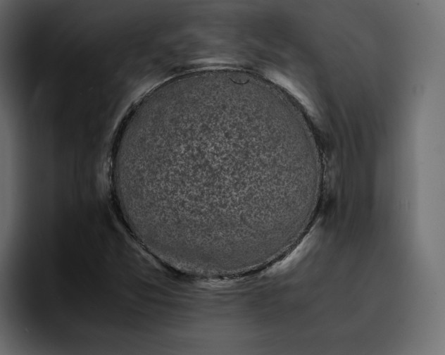 X0000095121357200712141127