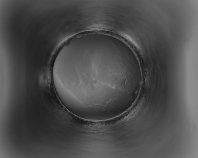 X0000095121358200712141127