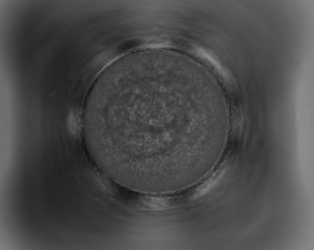 X0000095121361200712141127