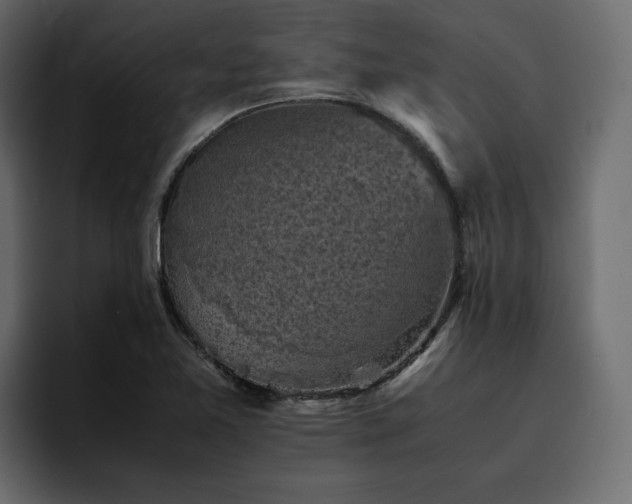 X0000095121365200712141127