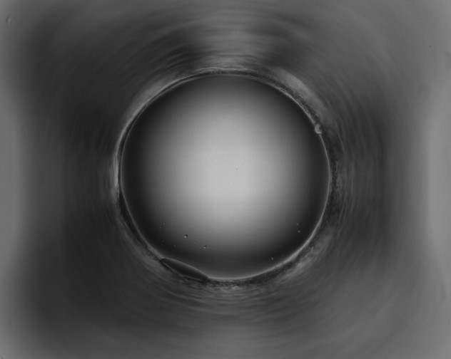 X0000095121370200712141127