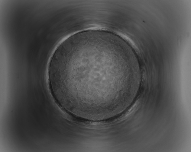 X0000095121375200712141127