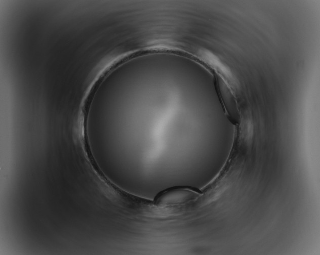 X0000095121376200712141127