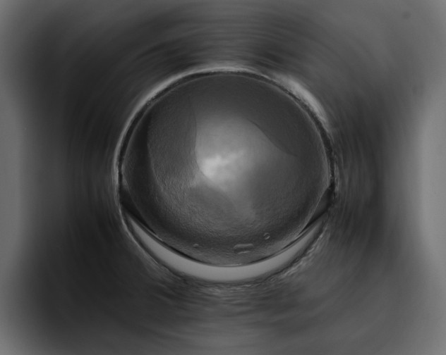 X0000095121380200712141127