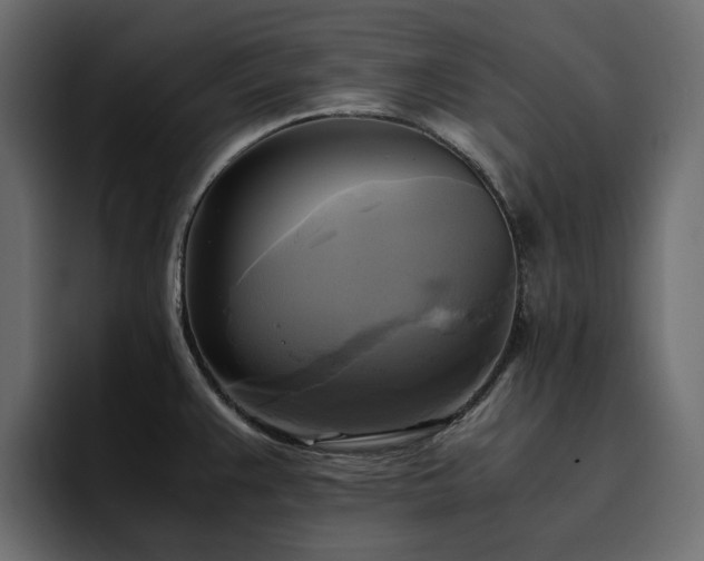 X0000095121383200712141127