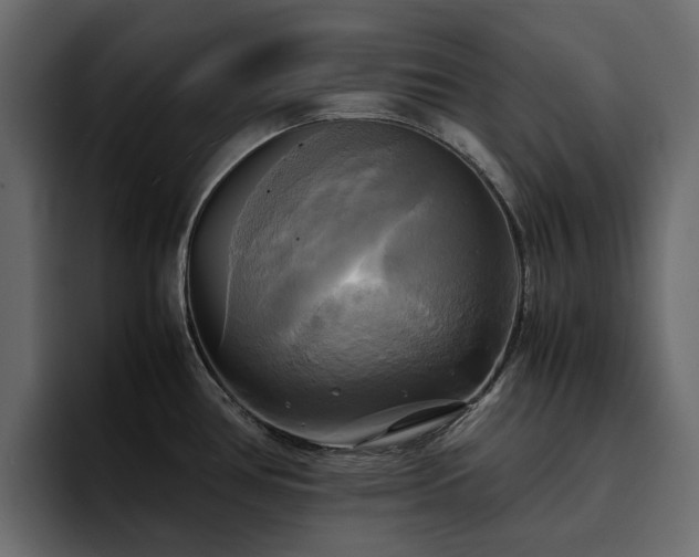 X0000095121386200712141127