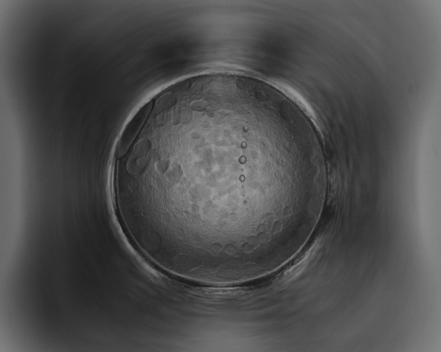 X0000095121391200712141127