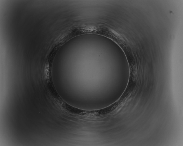 X0000095121394200712141126