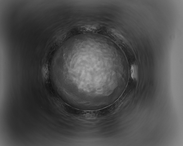 X0000095121395200712141126