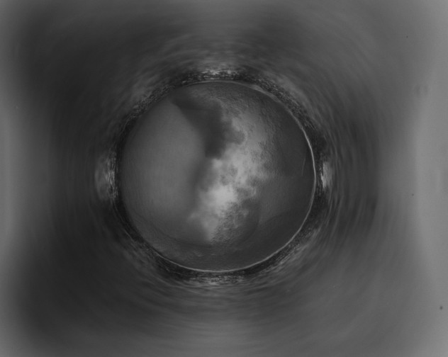 X0000095121396200712141126