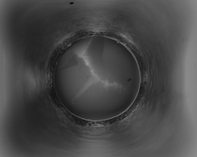 X0000095121398200712141126