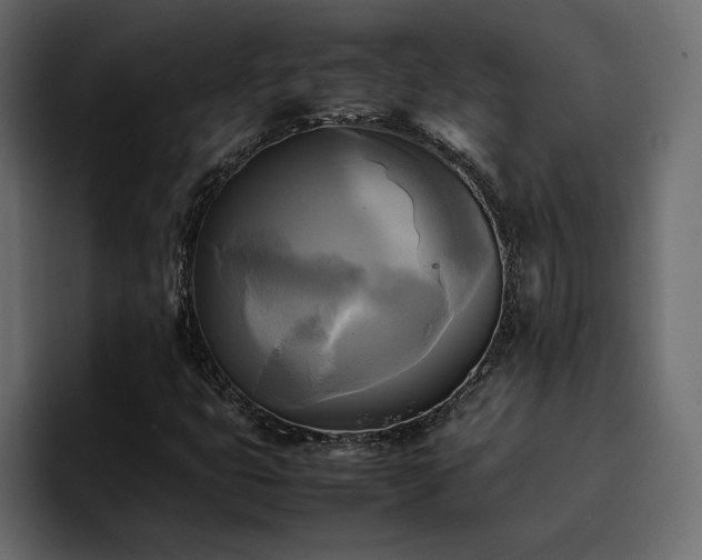 X0000095121399200712141126