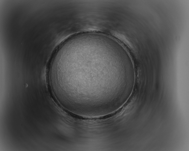 X0000095121404200712141126