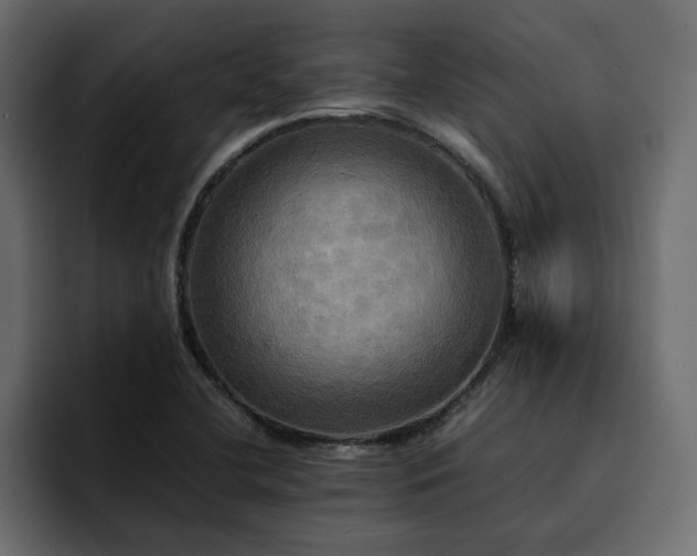 X0000095121412200712141127