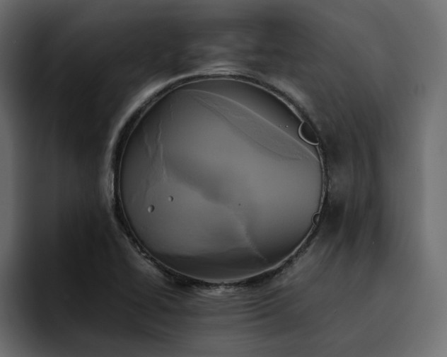 X0000095121414200712141127