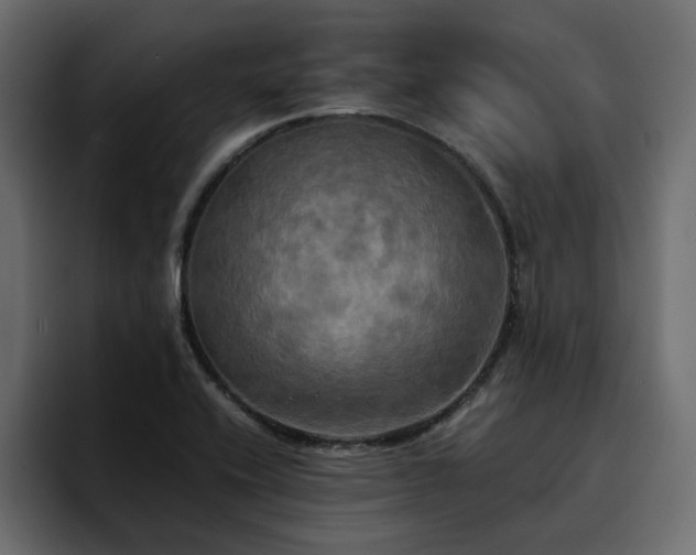 X0000095121416200712141127