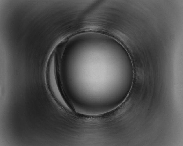 X0000095121418200712141127