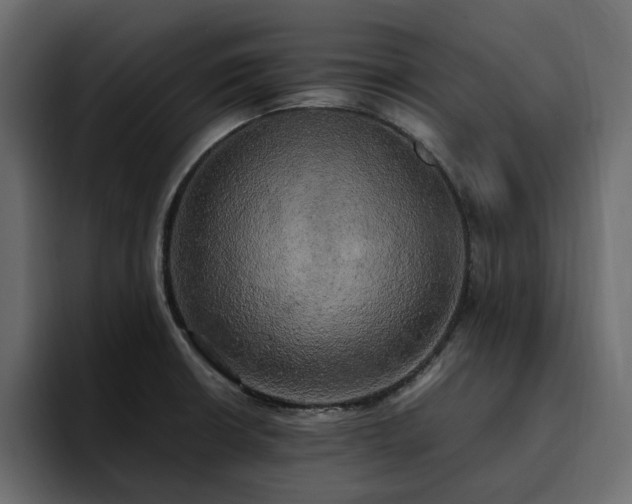 X0000095121426200712141127