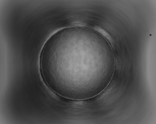 X0000095121431200712141127