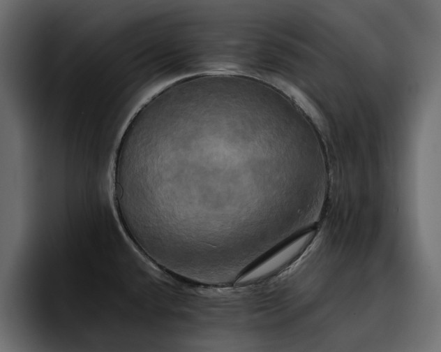 X0000095121432200712141127