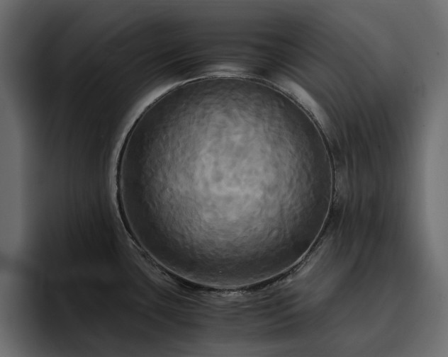 X0000095121435200712141127